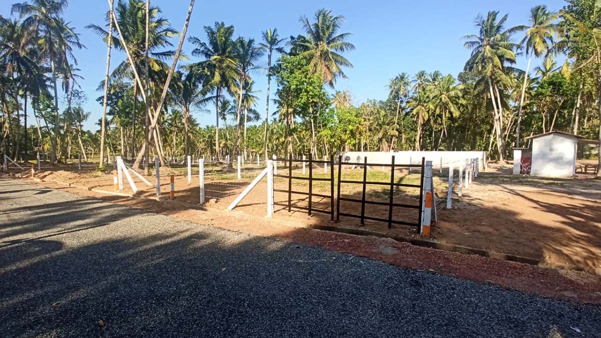 (DL83) 10 Perch Bare Land for Sale in Kattunayaka