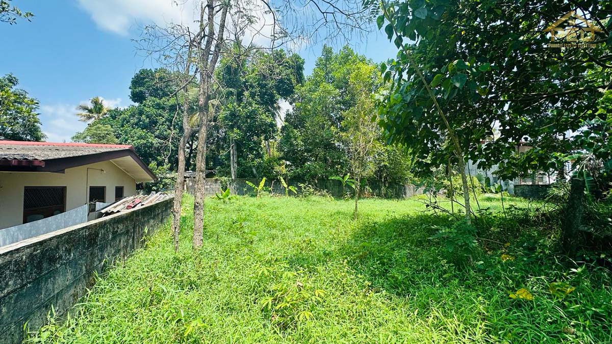 (S388) 18.8 perch Bare Land for Sale in Panniptiya close to nursing home