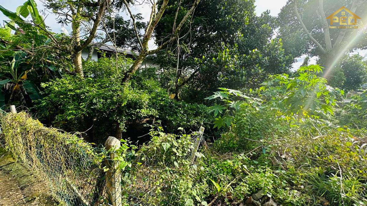 (S139) 12.12 Perch Bare Land for Sale At palawatta Pothuarawa rd