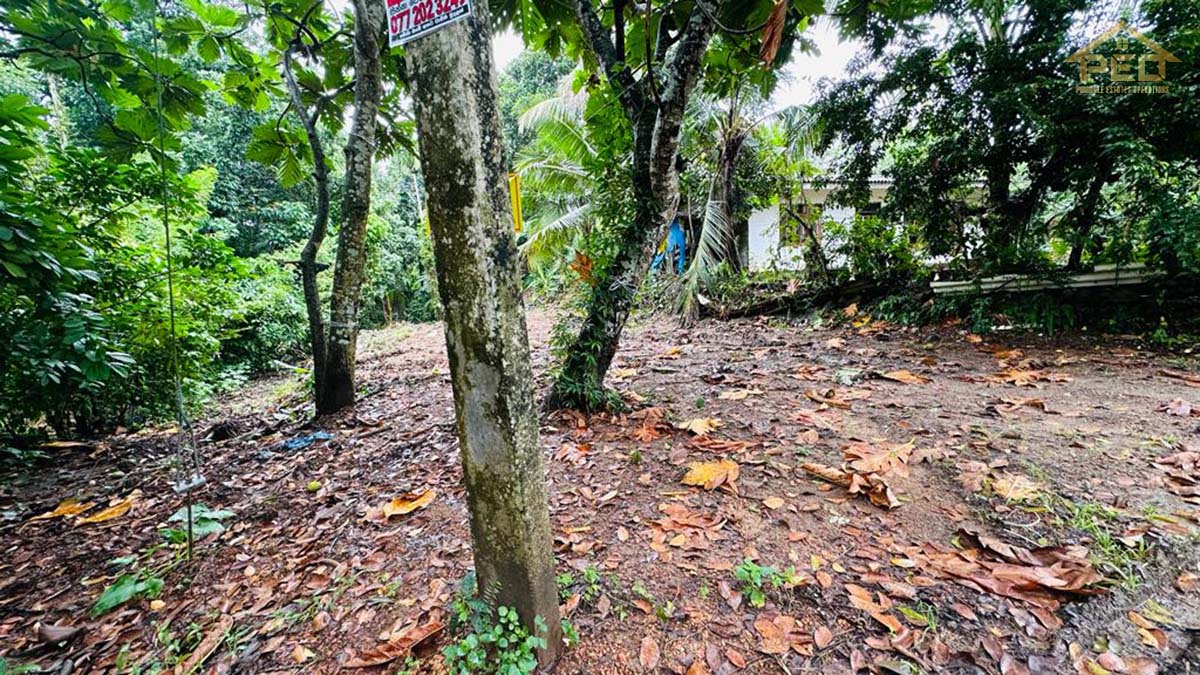 (S104) 20 purch Bare Land for Sale At Hokandara Horahena Road.