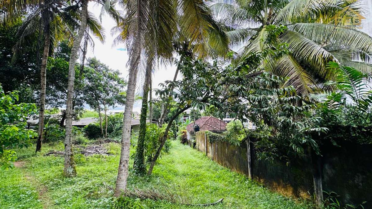 (S159) 20 perch Bare Land for Sale in Ethul kotte