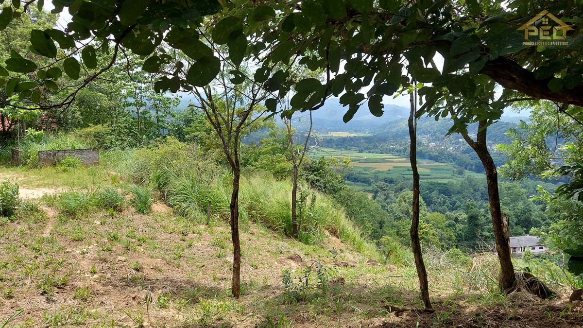 (S225) 20 perch Bare Land for Sale in Kandy Hindagala Mahakanda