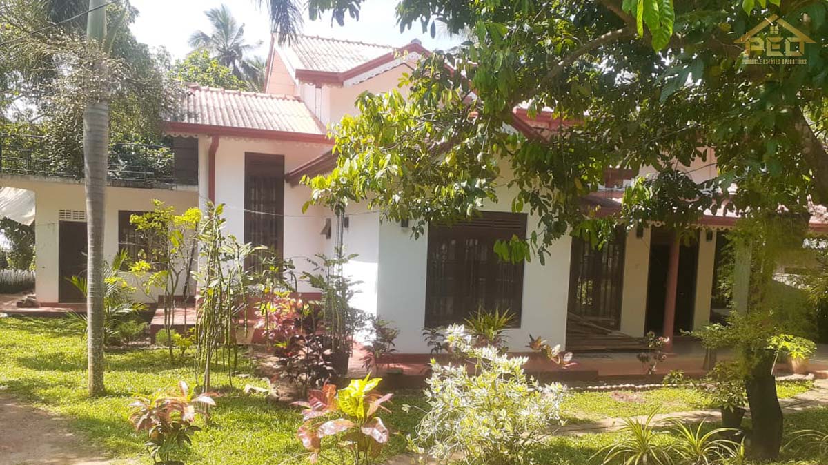 (S238) Single story house for sale in Galewela Diulgaskototuwa