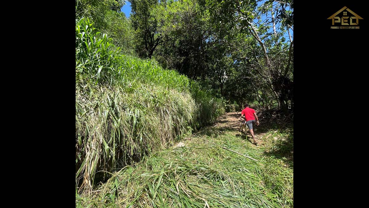 (S302) 22.5 perch Bare Land for Sale in Mahanuwara Peradeniya Road,Mulgampola