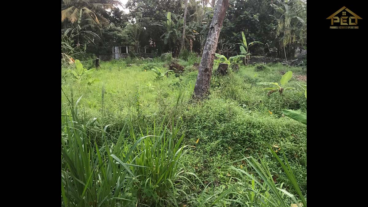 (S347) 43 perch Bare Land for Sale in Kurunegala