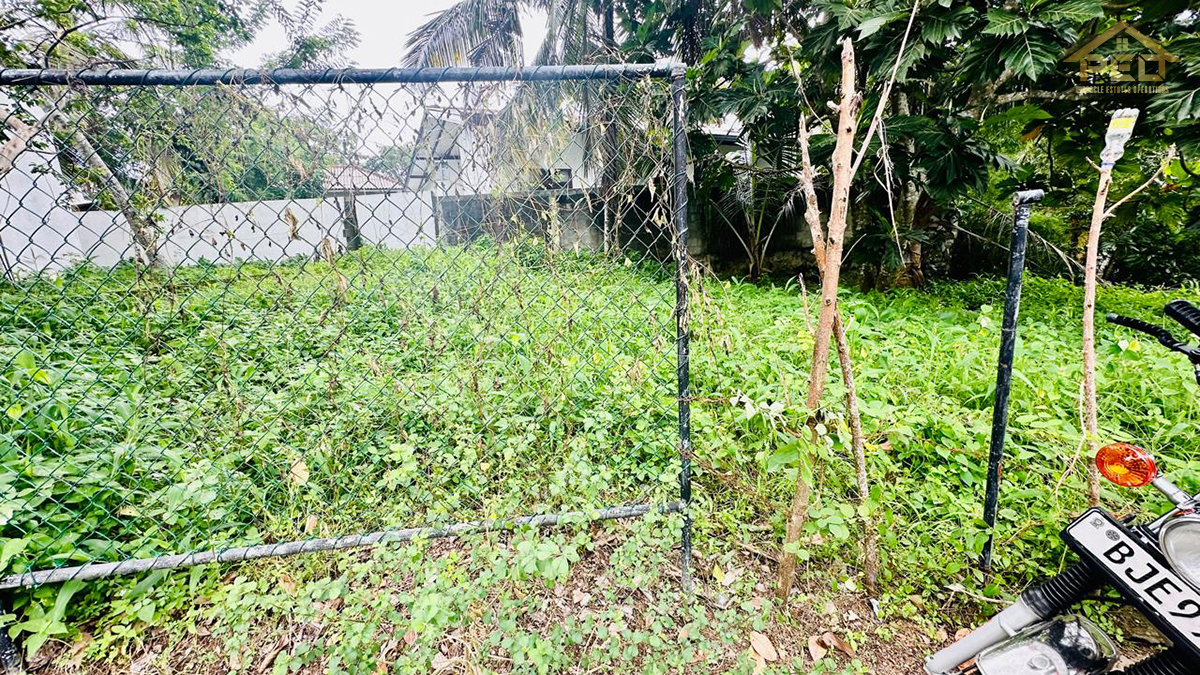 (S450) 8 perch Bare Land Sale in Vidyaraja Mawatha Hokandara