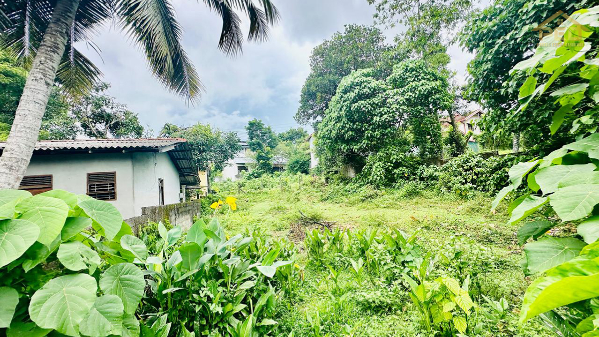 (S451) 11.2 perch Land Sale in Kalalgoda Weera Mawatha Thalawathugoda rd