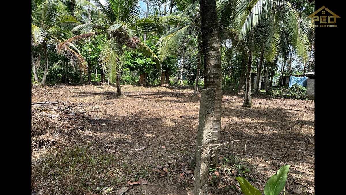 ( P164) Bare Land for Sale At Biyagama