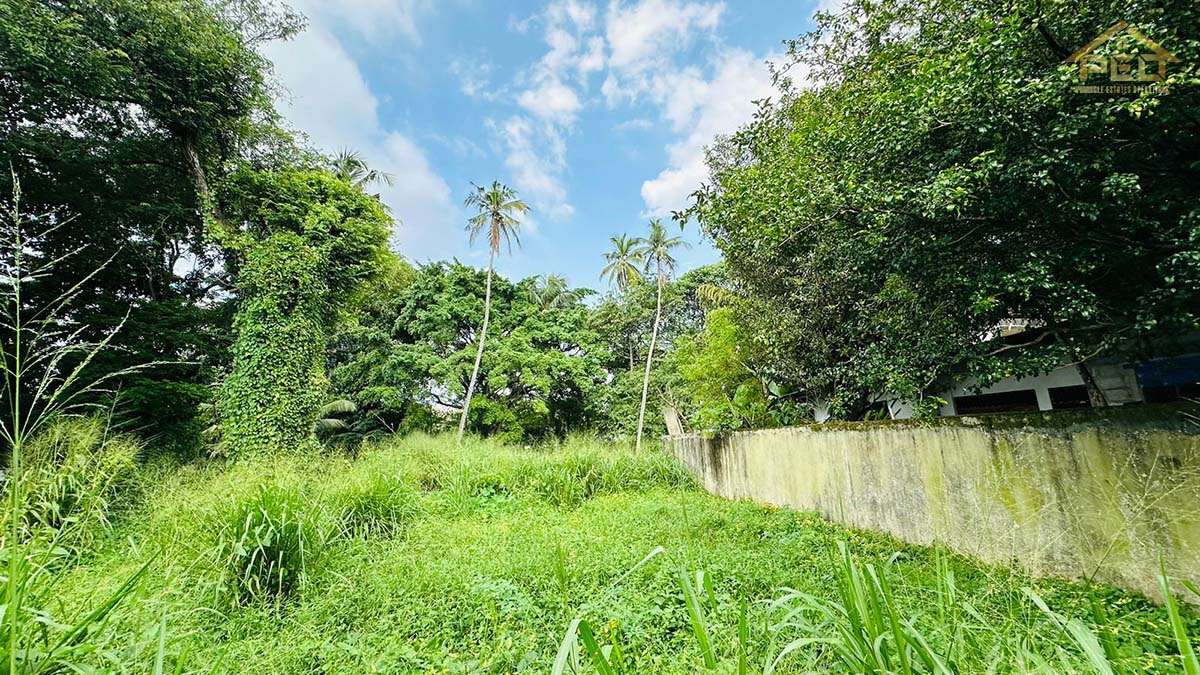 (S177) 06 perch Bare Land for Sale in Rajagiriya town