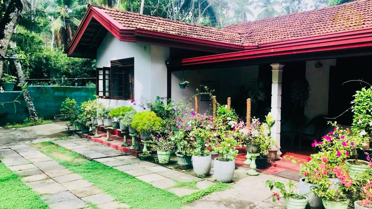 (S525) Single House for Sale in Minuwangoda.