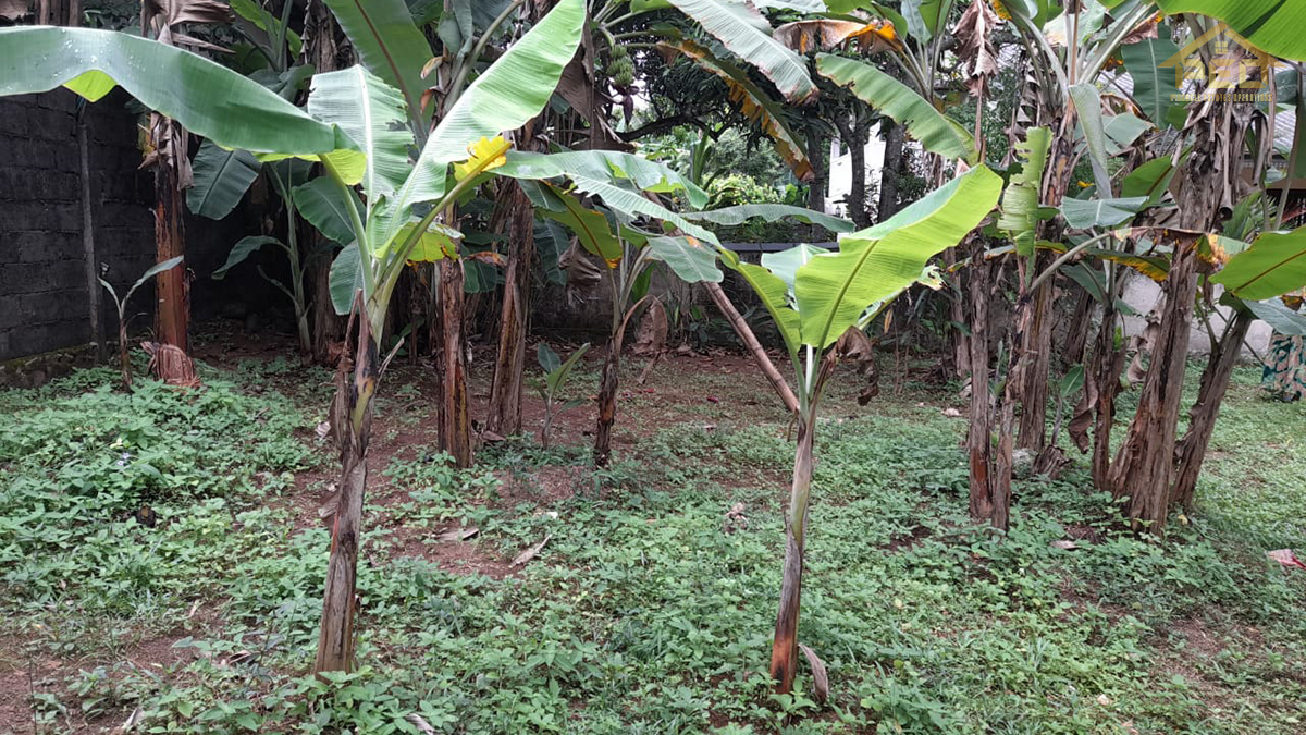 (ML156) 36 perch Bare Land for Sale in Near Mahinda Vidyalaya Galle