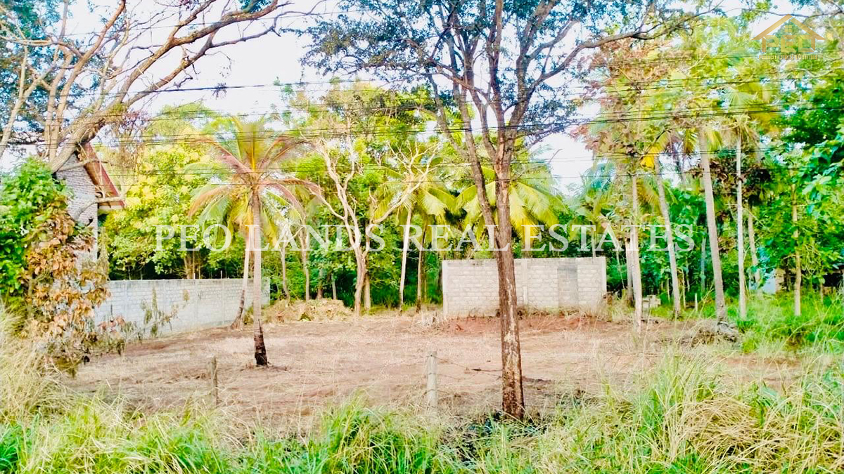 (K115) 60 perch Bare Land for Sale in Anuradhapura