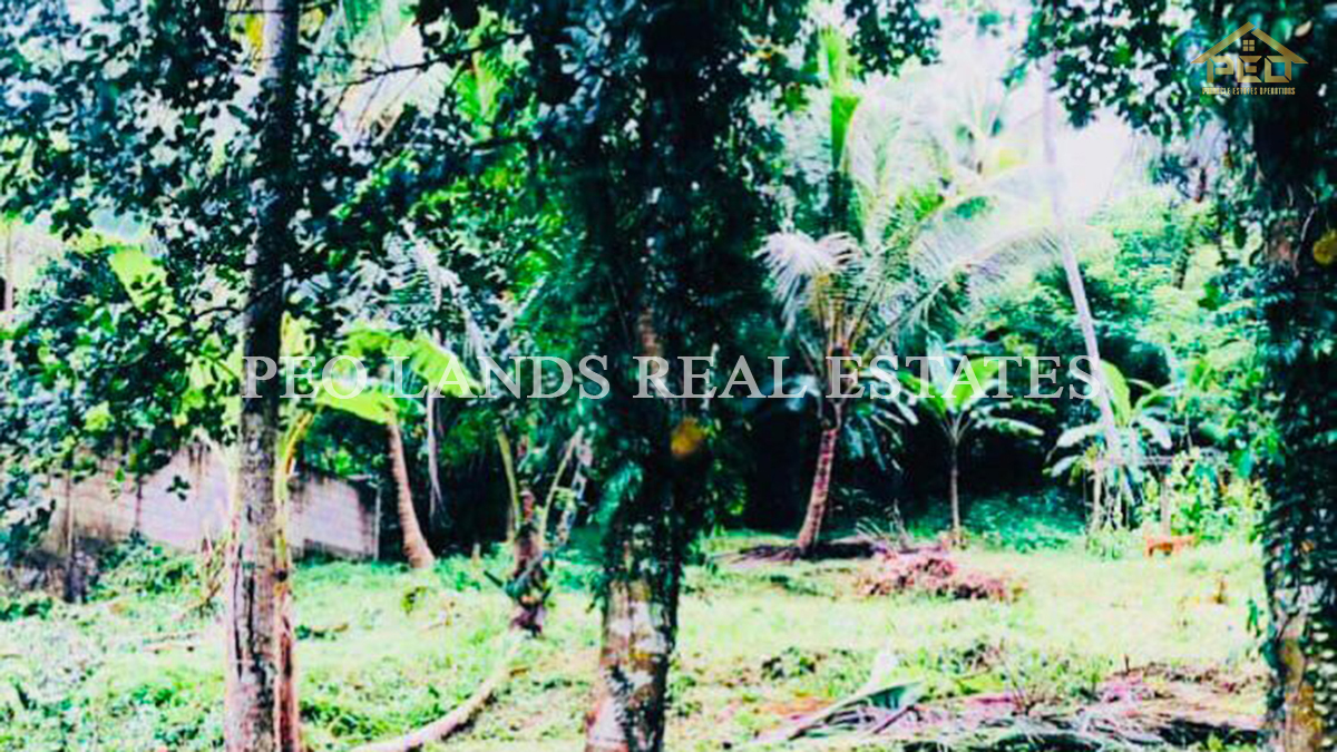 (K118) 20 perch Bare Land for Sale in Gampaha