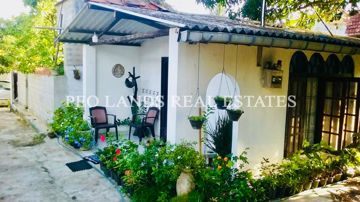 (K139) Single Storey House for Sale in Kandana