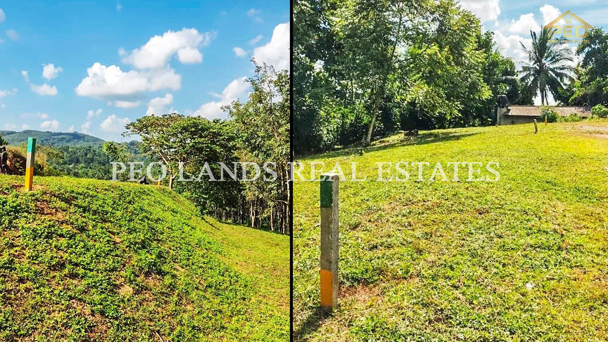 (DL233) 193 Perch Bare Land for Sale in Kosgama