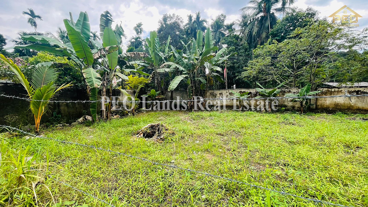 (DL292) 8 perch Bare Land for Sale in Kottawa, Pubudu MW