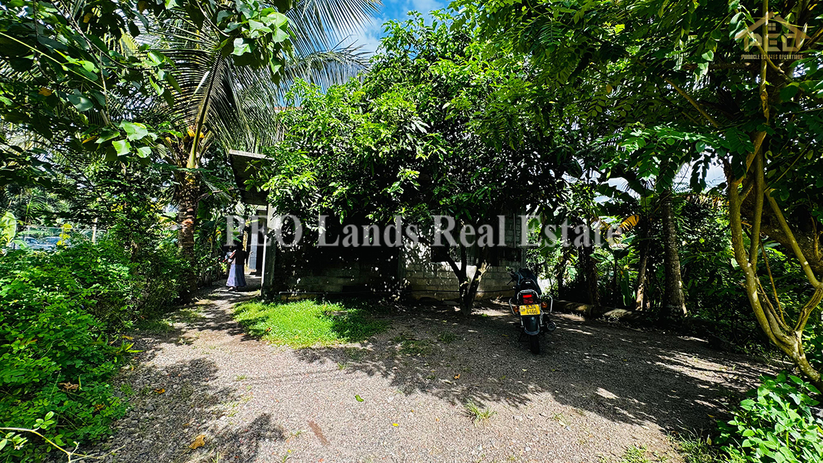 (DL308) 12 perch Land with House for Sale in Maharagama