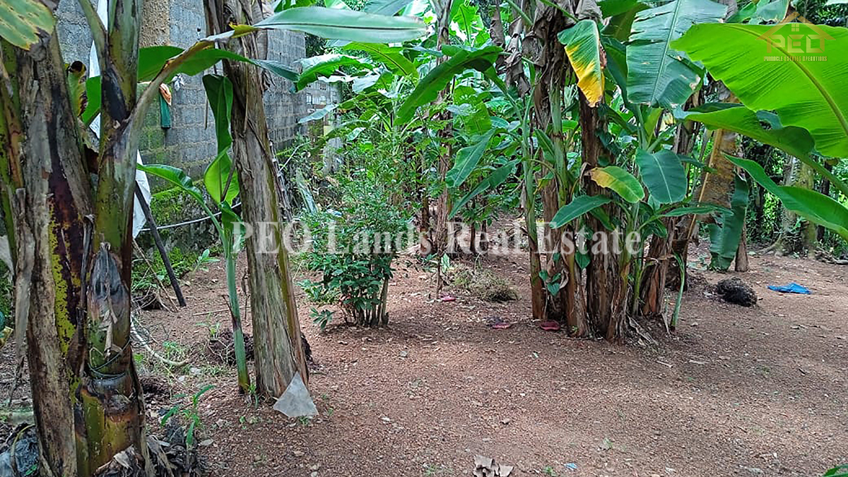 (RL06) 16.25 perch Bare Land for Sale in kidelpitiya