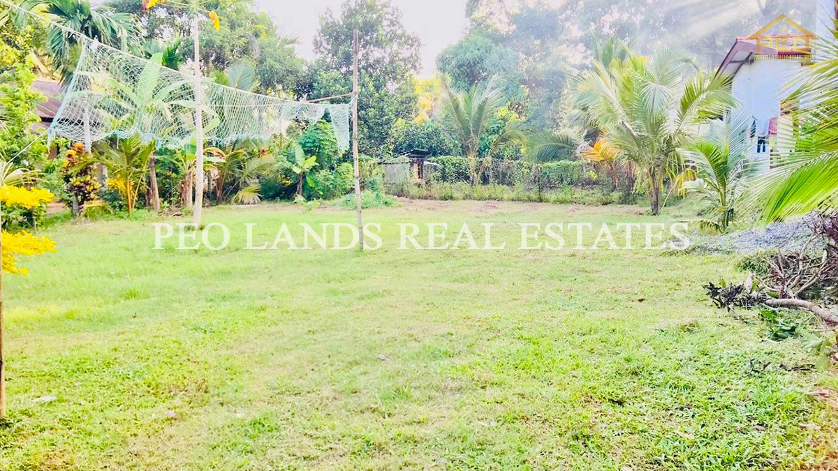 (K103) 25 perch Bare Land for Sale in Minuwangoda