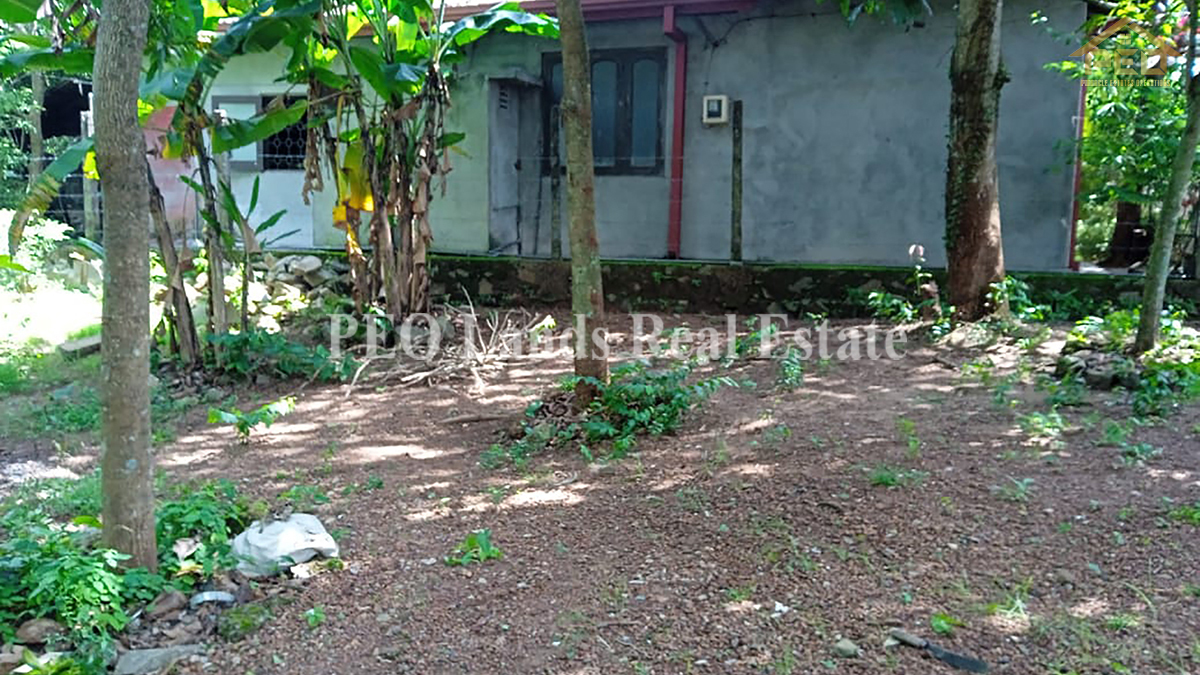 (RL08) 11.5 perch Bare Land for Sale in Keselwaththa,Panadura