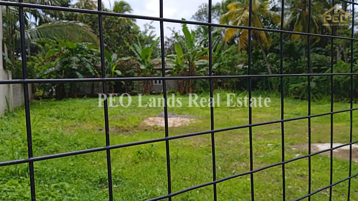 (RL10) 18.5 perch Bare Land for Sale in Kurusahandiya, Panadura