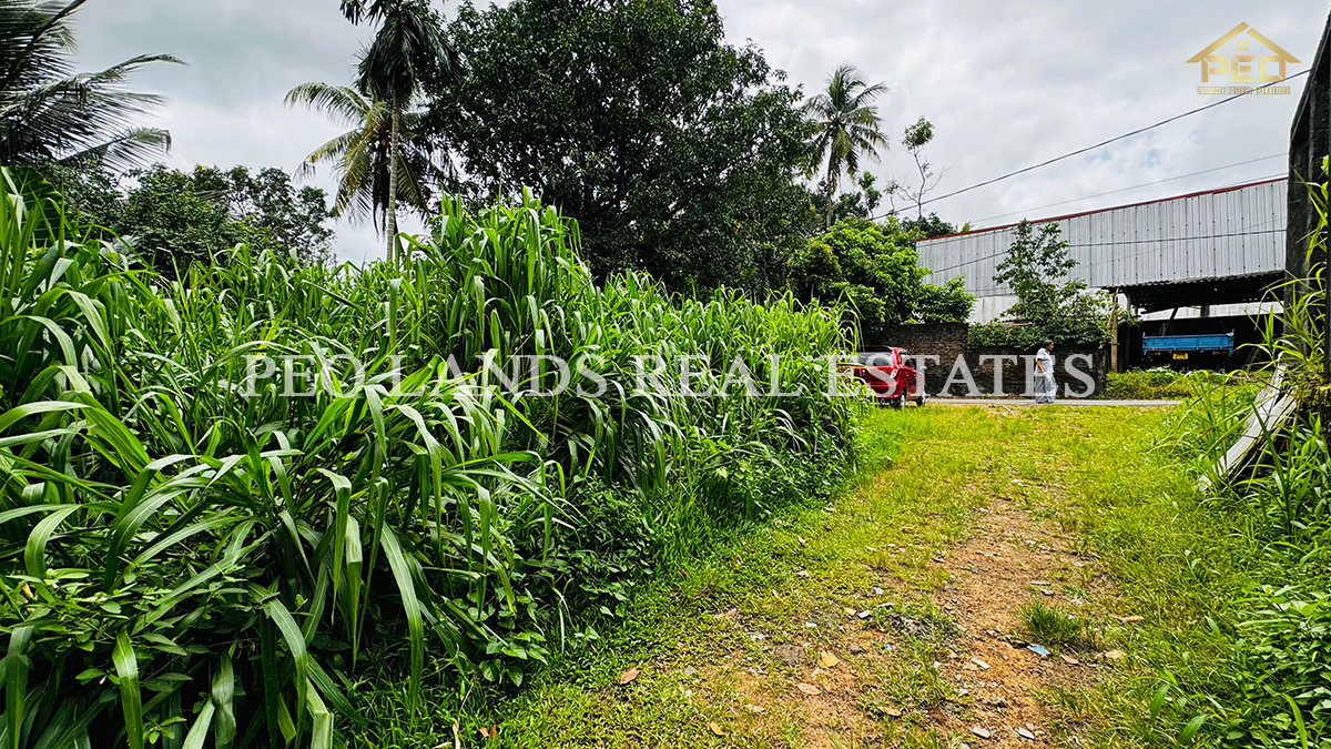 (DL258) 10 Perch Bare Land for Sale in Athurugiriya