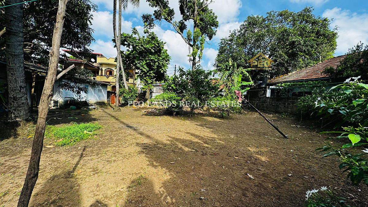 (DL275) 35 perches Bare Land for sale in Colombo 9