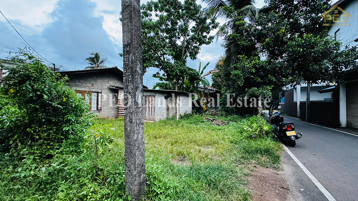 (DL289) 12 Perch bare land sale in kottawa Pelanwatta