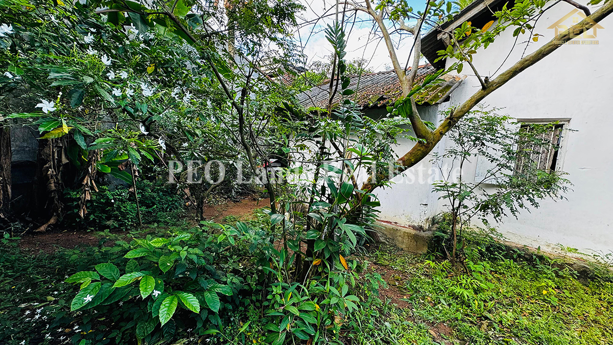 (DL287) 17.5 Perch Land for Sale in Maharagama