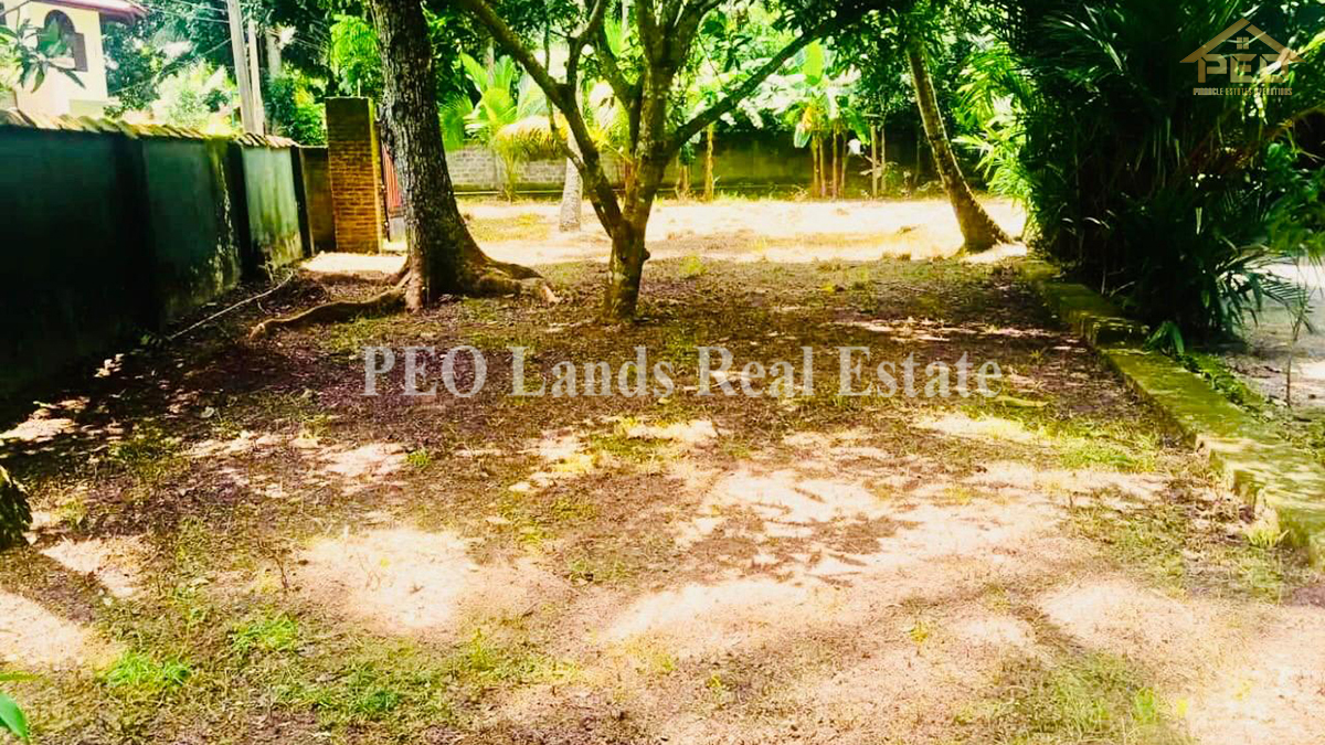 (K178) 17 Perch Bare Land for Sale in Gampaha, Makavita