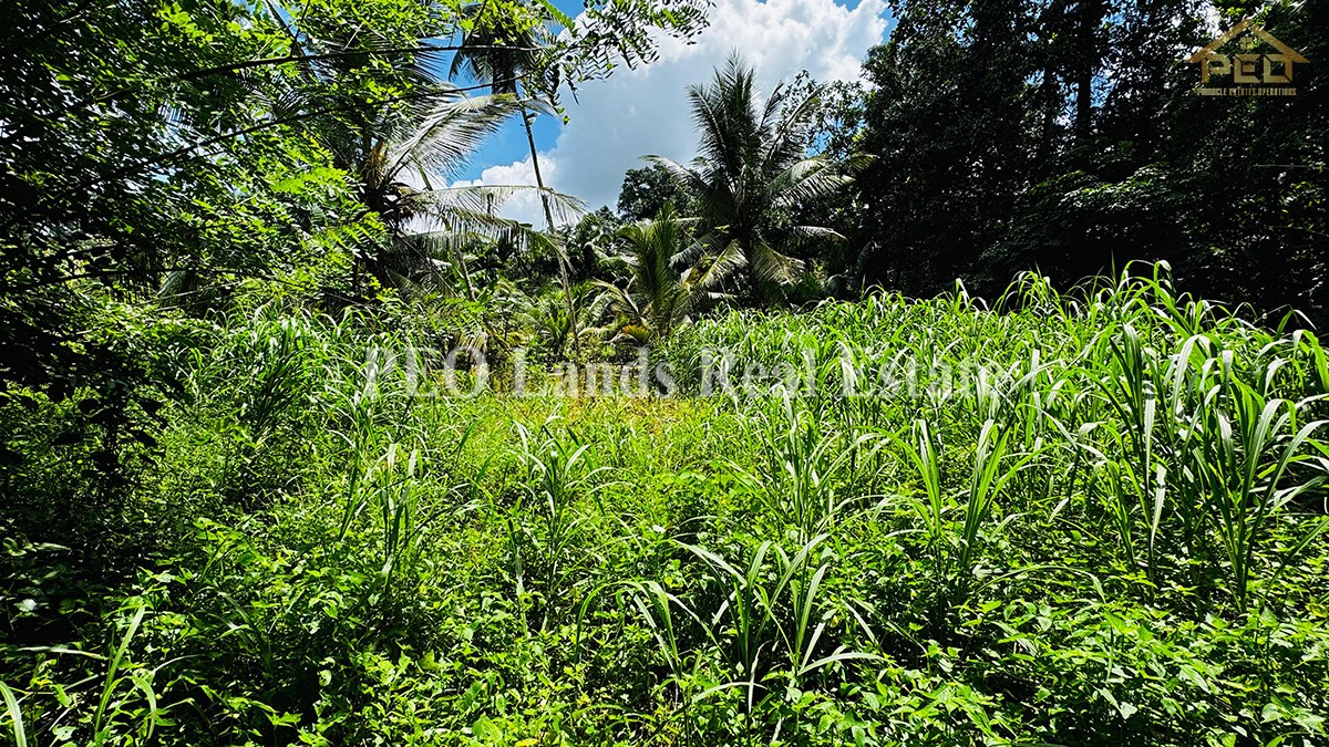 (DL306) 15 Perch Land for Sale in Meegoda