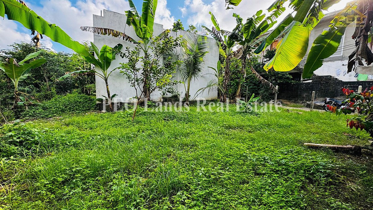 (DL307) 6 Perch Bare Land for Sale in Angoda