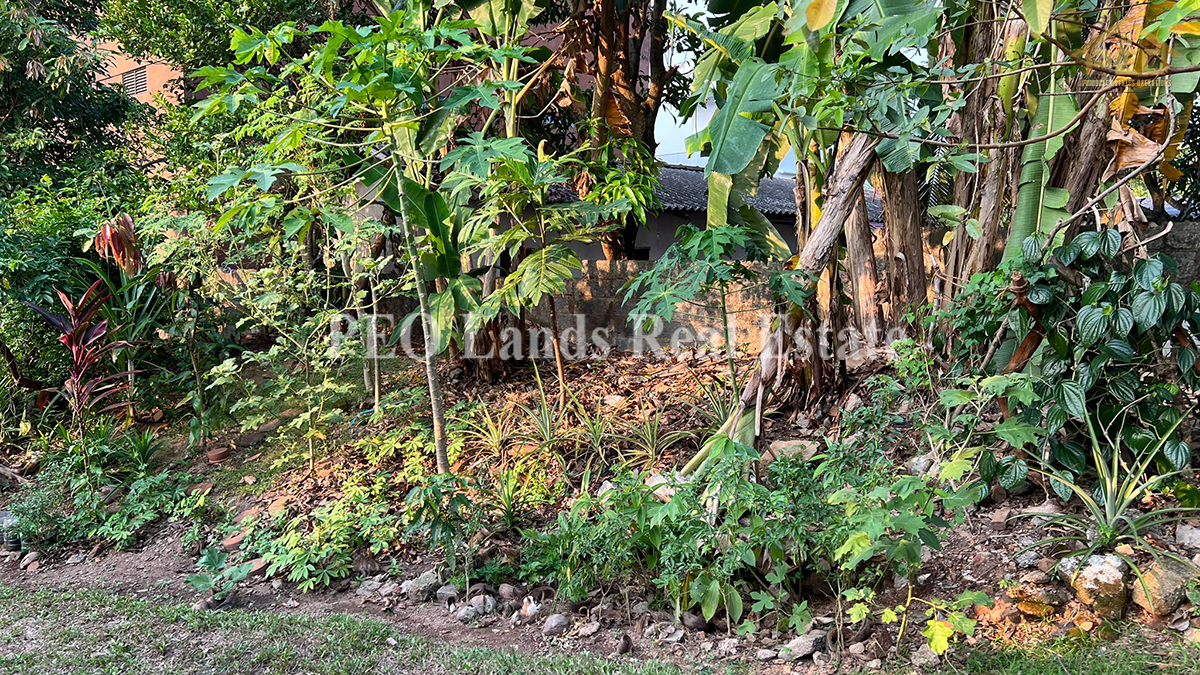 (ML179) 10 perch Land for Sale in Thalawathugoda