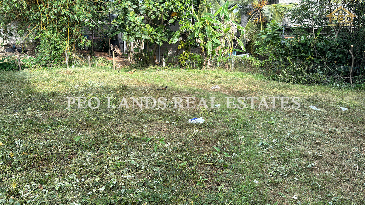 (DL262) 10.25 Perch Bare Land for Sale in Angoda