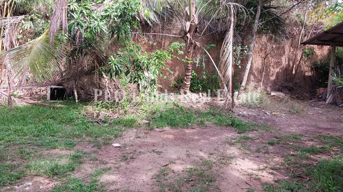 B116) 11.50 Perch Land for Sale in Ja Ela