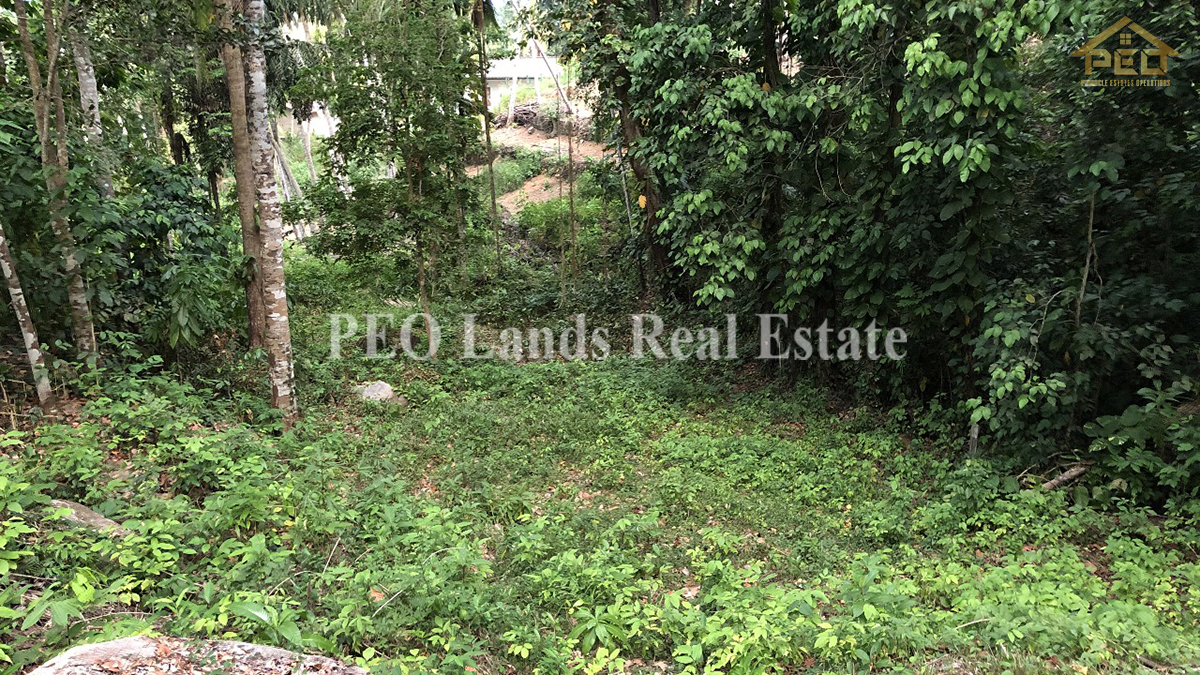 (ML188) 16.86 perch Land for Sale in Galle