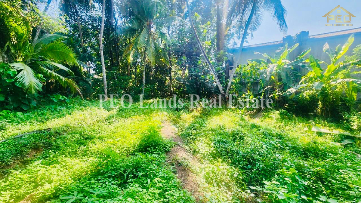 (K187) 68 Perch Land For Sale in Ganemulla