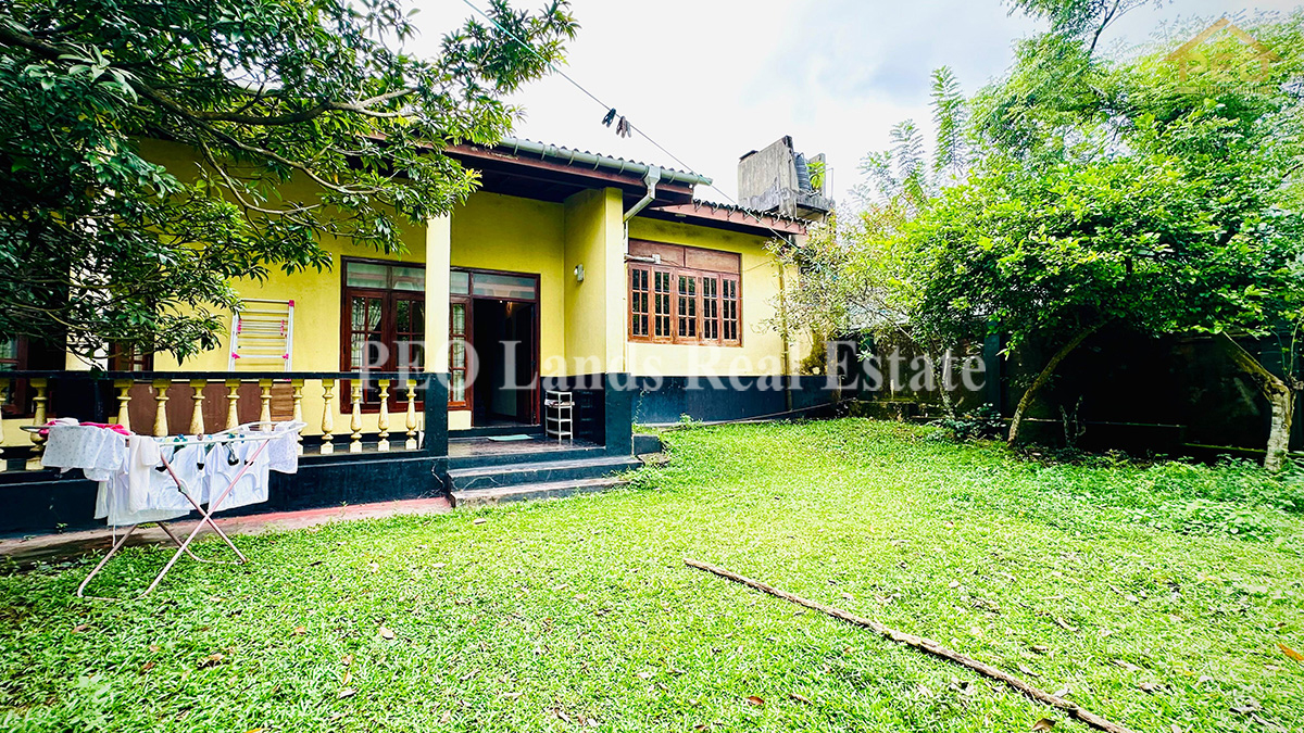 (S653) Single Storey House For Rent in Thalawathugoda