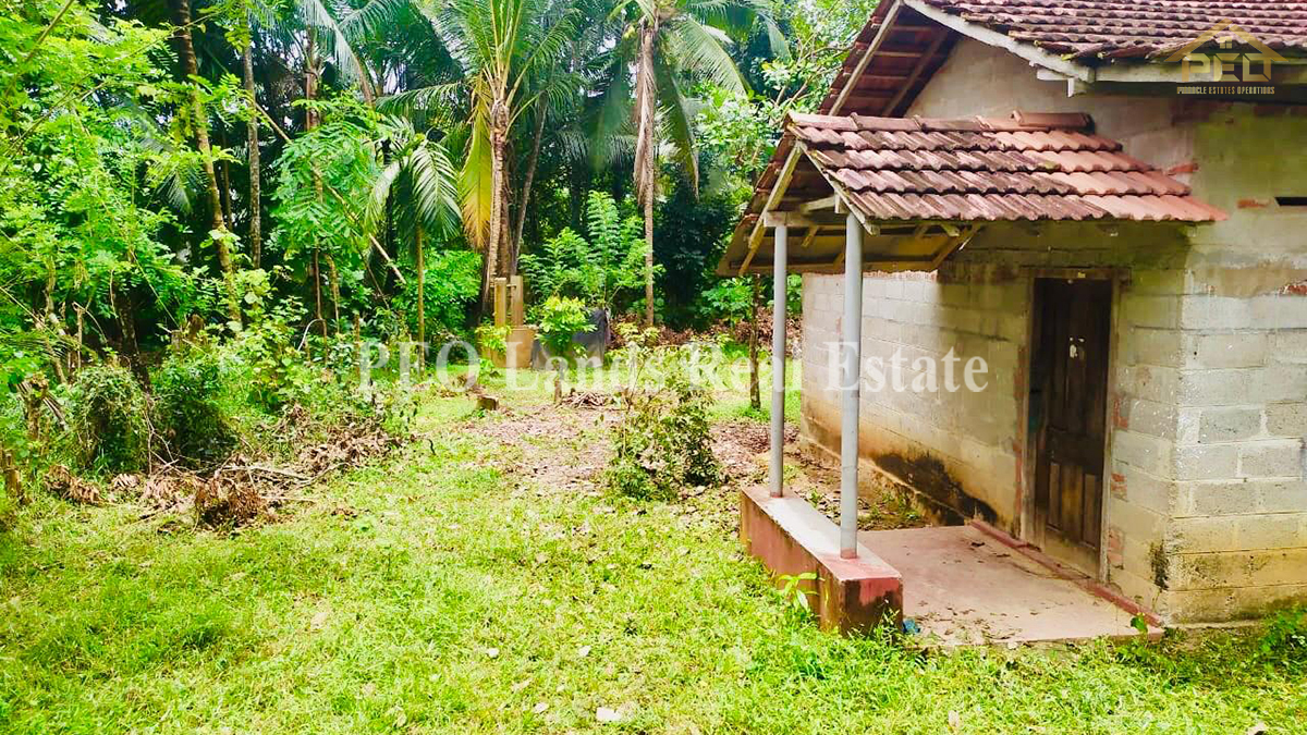 (K191) 20 Perch Land for Sale in Gampaha, Pallewela