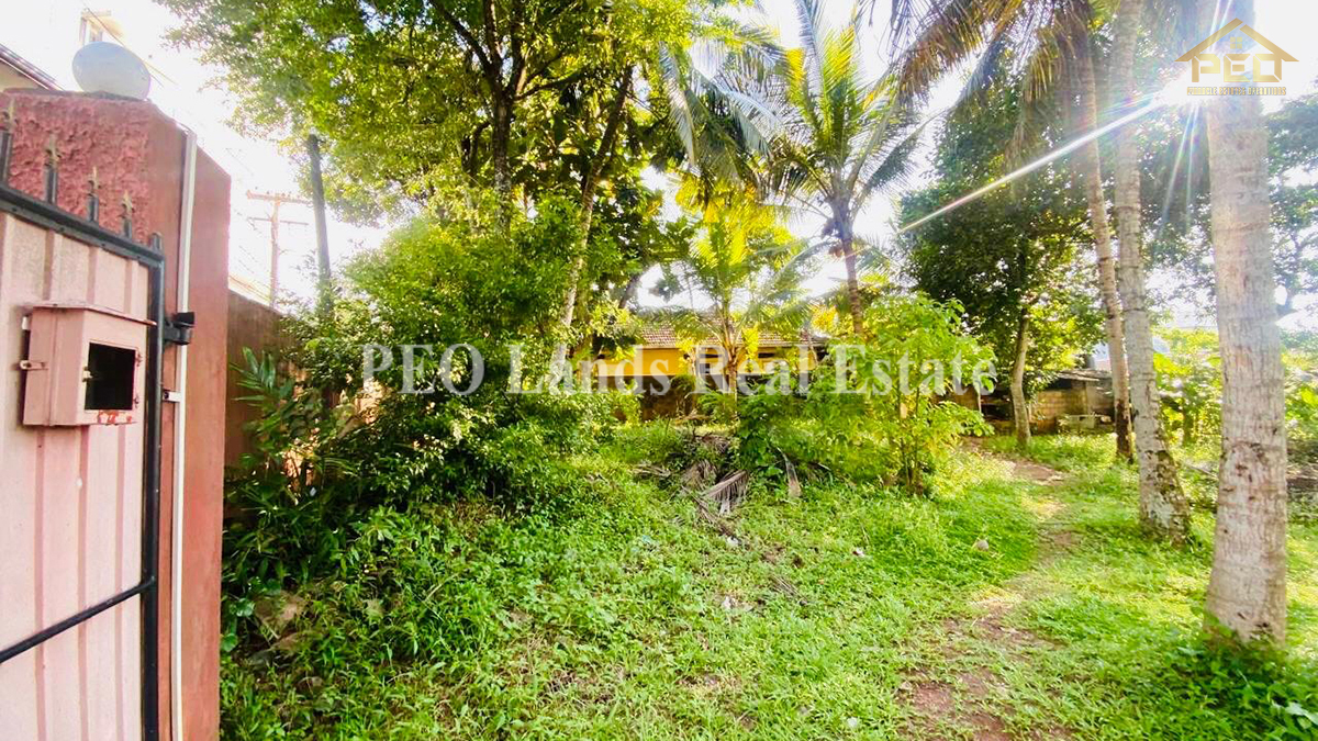 (P243) 19.259 land For sale Athul Kotte