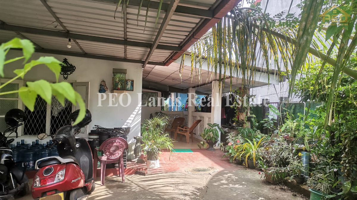 (P247) Charming two houses and spacious shop on Elakanda Hendala, Wattala