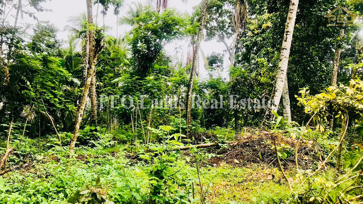 (K197) 78.6 perch Land with House for Sale in Minuwangoda