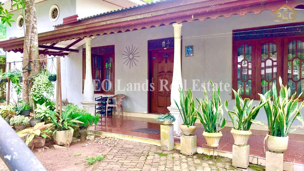 (B113) Single Storey House For Sale in Ja Ela