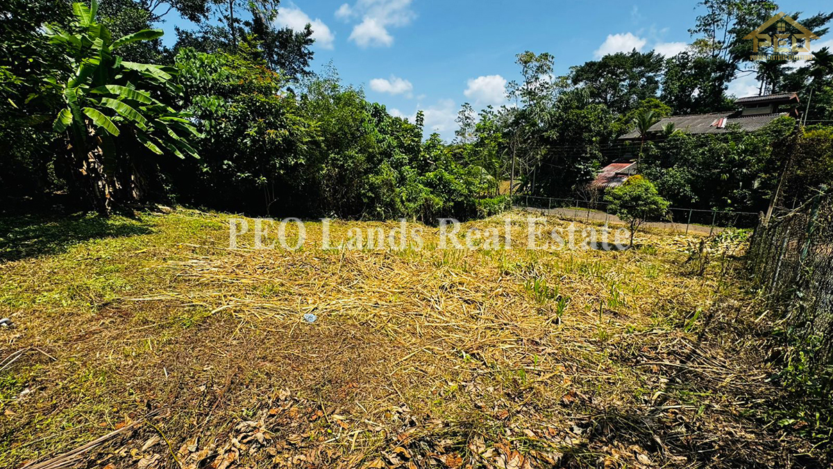 (DL354) 12.3 Perch Bare Land for Sale in Athurugiriya