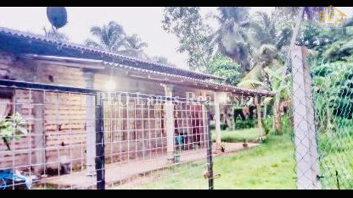 (K203) Single Storey House For sale in Gampaha