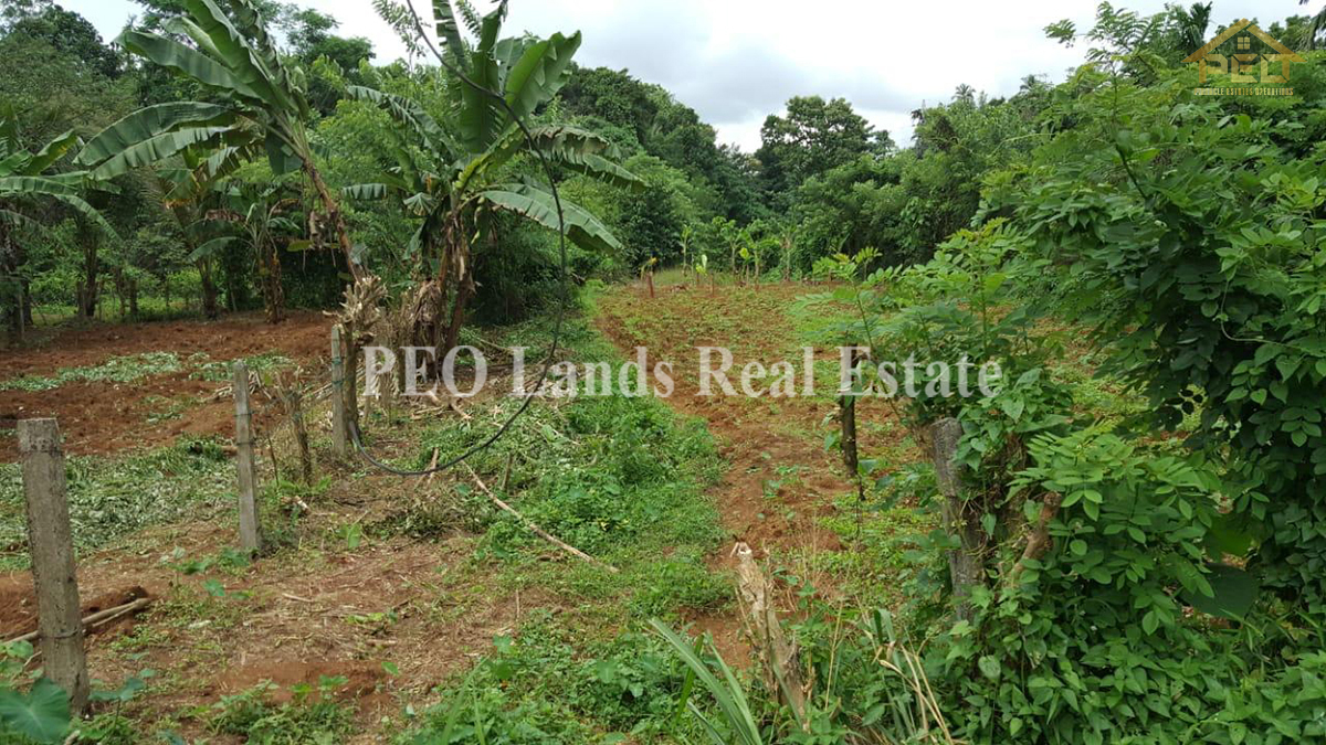 (ML210) 10.5 perch Land for Sale in Pilawala, Kandy