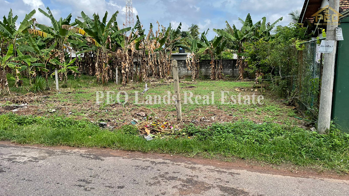 (DL368) 14 perch Land for Sale in Kottawa