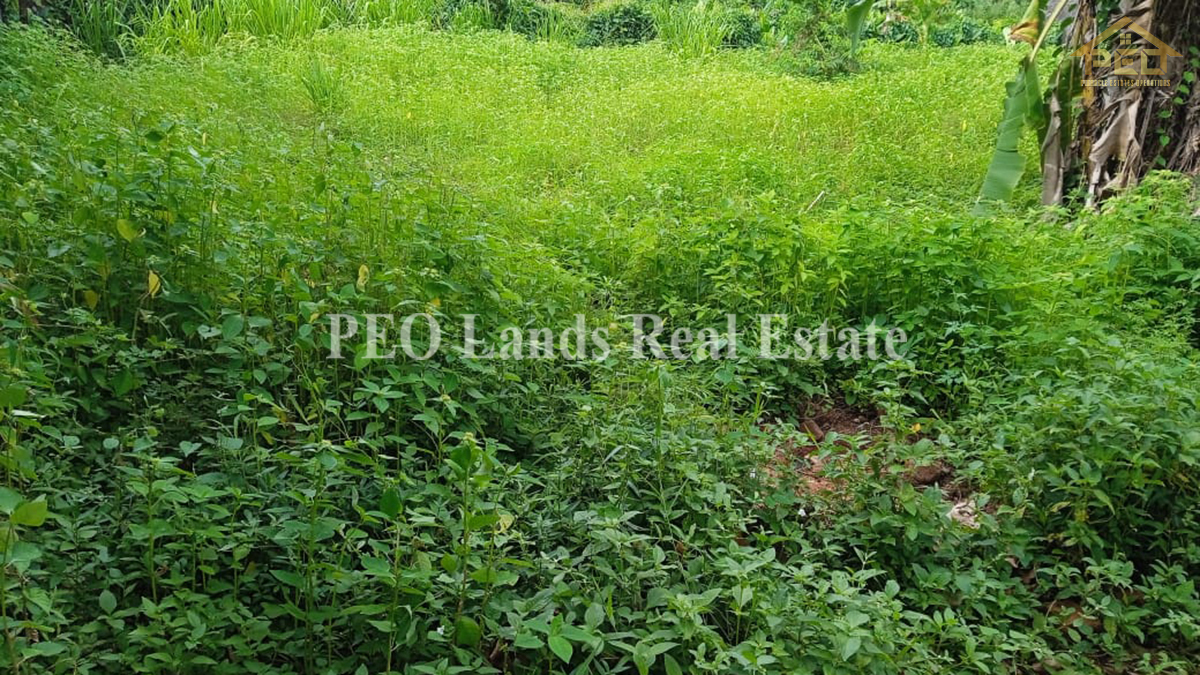 (RL133) 16.0 perch Bare Land for Sale in Boralesgamuwa