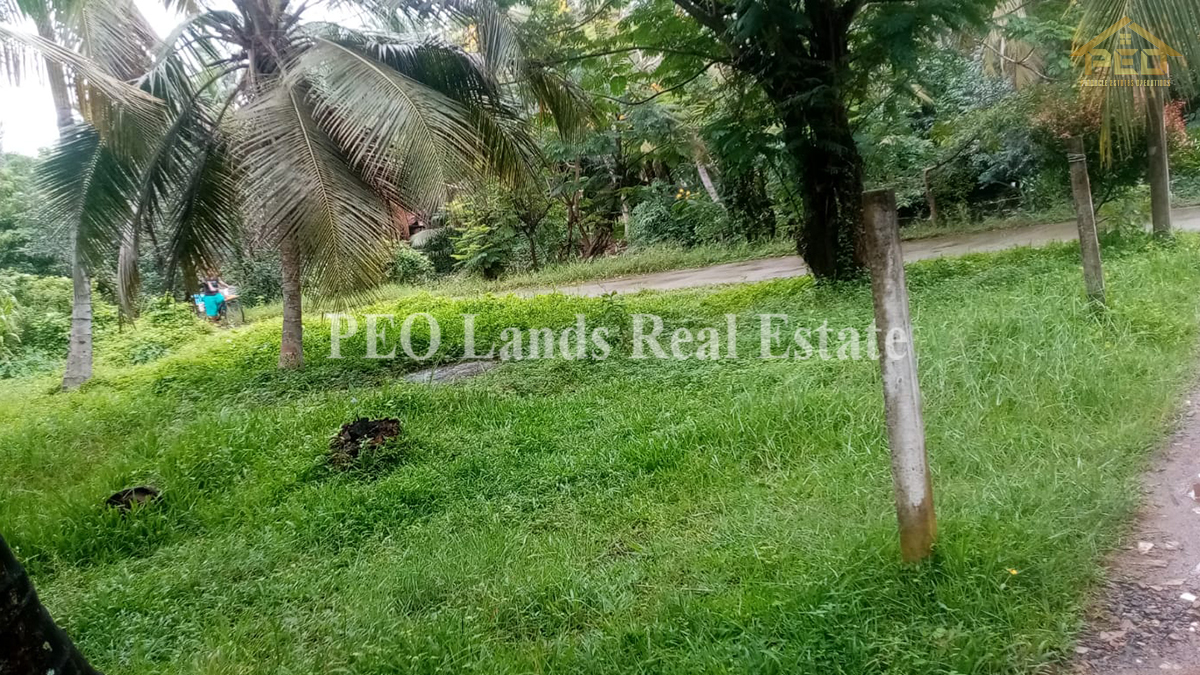 (K215) 133 Perch Land For Sale in Wattala