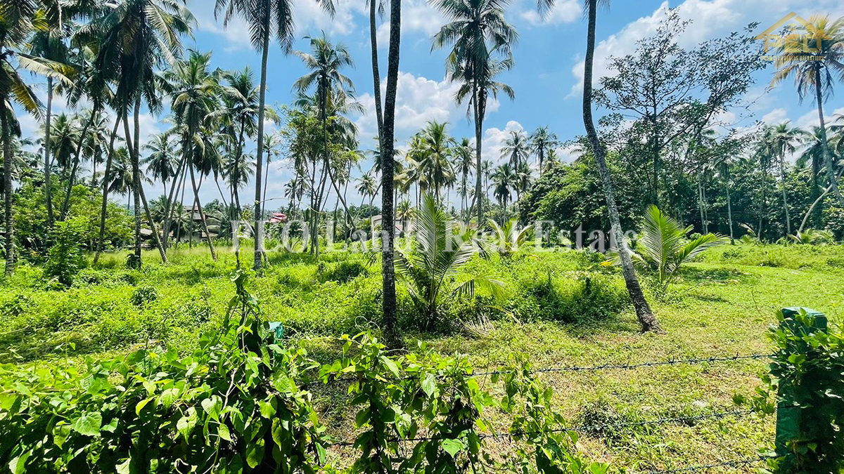 (K223) 320 perch Bare Land for Sale in Daranagama, Kadawatha